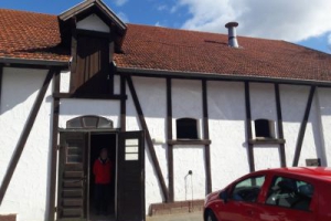 20190311_142105_k_logos400blur