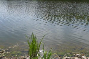 Welzheimer Wald mit dem ÖPNV Band 2 GPS
