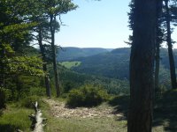 Jahr 2017 Bildergalerie (1 Tour) &raquo; 2017-07-24 Schafberg Lochenstein