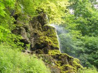 Jahr 2018 Bildergalerie (4 Touren) &raquo; 2018-07-23 Urach Gütersteiner Wasserfälle