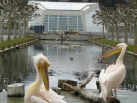 Jahr 2019 Bildergalerie (6 Touren) &raquo; 2019-03-26 Wilhelma Besuch 2019