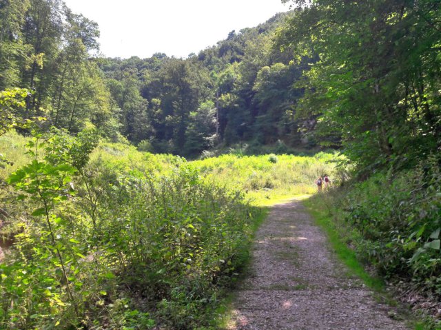 20190722_120229hdr_lookk