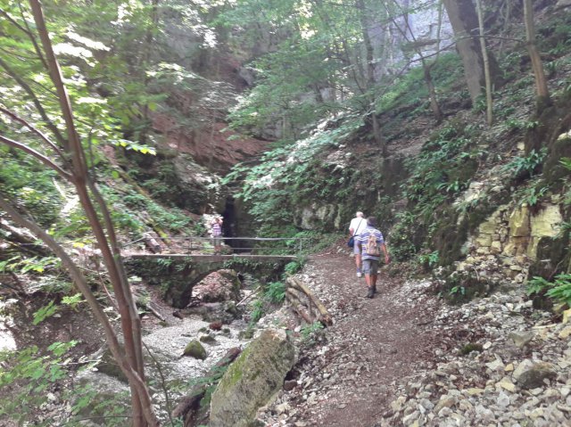 20190722_120644hdr_lookk