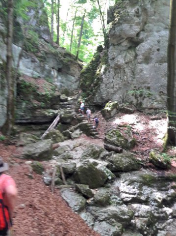 20190722_121054hdr_lookk