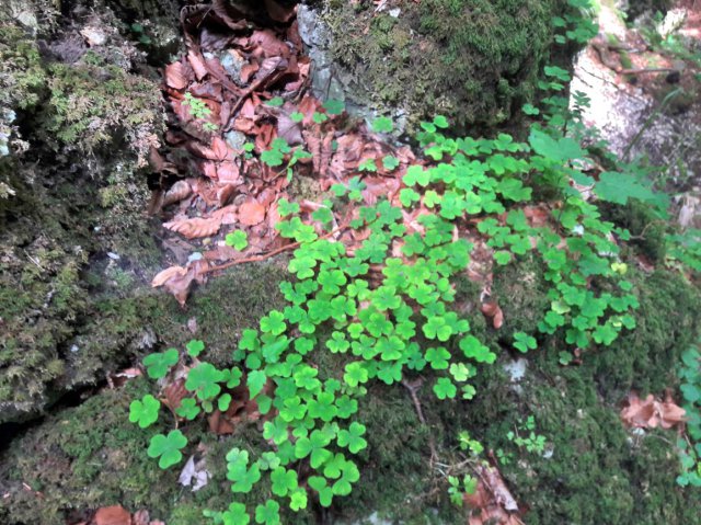 20190722_121220hdr_lookk