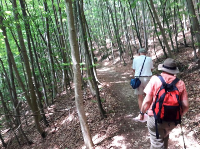 20190722_135905easy_fotok