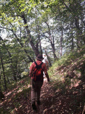 20190722_140455easy_fotok