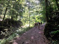Jahr 2019 Bildergalerie (6 Touren) &raquo; 2019-07-22 Bad Urach Hohenwittlingensteig