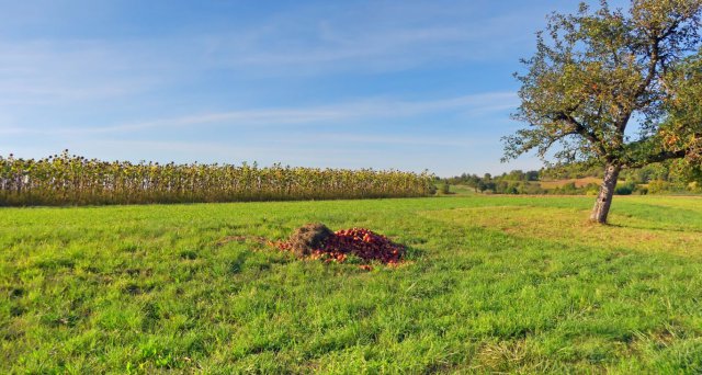 p1040458_59_60_61_62_63_64k