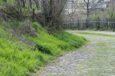 Jahr 2023 Bildergalerie &raquo; 2023-03-27 Stuttgart-Sommerrain Muckensturm Zuckerle