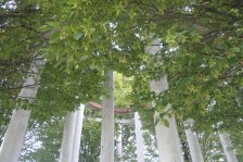 Jahr 2023 Bildergalerie &raquo; 2023-09-18 Möhringen Landhaus Körsch Universität Hohenheim