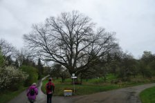 Jahr 2024 Bildergalerie &raquo; 2024-04-01 Winterbach über Schurwald nach Schorndorf