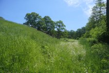 Jahr 2024 Bildergalerie &raquo; 2024-05-12 Sillenbuch Eichenhain Fernsehturm Stuttgart