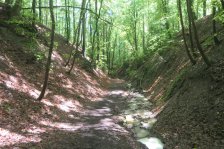 Jahr 2024 Bildergalerie &raquo; 2024-05-18 Sillenbuch Falsche Klinge Rohracker