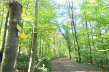 Jahr 2024 Bildergalerie &raquo; 2024-10-21 Stöckenhof Königsbronnhof Rudersberg