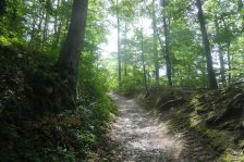 Jahr 2025 Bildergalerie &raquo; 2025-05-12 Heslacher Wand Hasenbergsteige Hajek-Park Karlshöhe