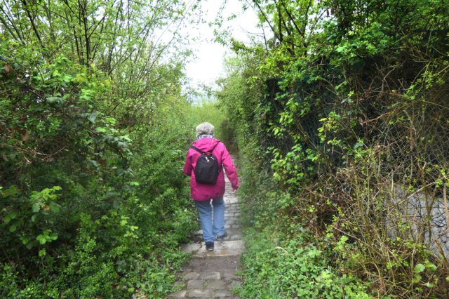 p1060616landsch_klark