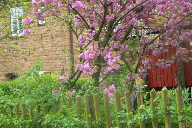 p1060617landsch_wolkk