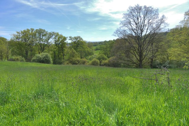 p1060647hdr_lookk